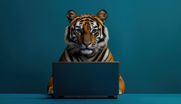 HTS_Webdesign_25-e1740407740598
