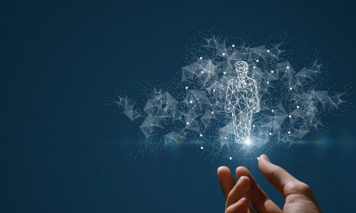 Concept of support human resources in the network. Concept of work support human resources in the network.